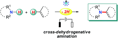 Graphical abstract: Recent advances in radical-based C–N bond formation via photo-/electrochemistry