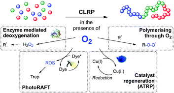 Graphical abstract: Up in the air: oxygen tolerance in controlled/living radical polymerisation