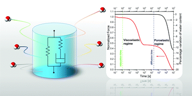 Graphical abstract: Hydrogels: experimental characterization and mathematical modelling of their mechanical and diffusive behaviour