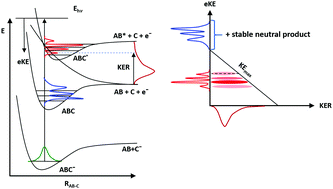 Graphical abstract: Dynamics of transient species via anion photodetachment