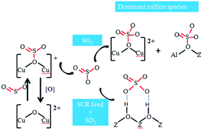Graphical abstract: Identification of sulfate species and their influence on SCR performance of Cu/CHA catalyst