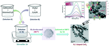 Graphical abstract: Enhanced visible light harnessing and oxygen vacancy promoted N, S co-doped CeO2 nanoparticle: a challenging photocatalyst for Cr(vi) reduction