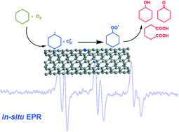 Graphical abstract: Unravelling the radical transition during the carbon-catalyzed oxidation of cyclohexane by in situ electron paramagnetic resonance in the liquid phase