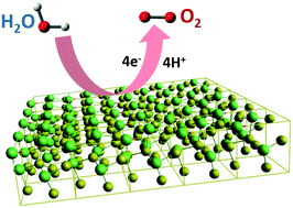 Graphical abstract: Supercritical fluid processing for the synthesis of NiS2 nanostructures as efficient electrocatalysts for electrochemical oxygen evolution reactions