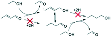 Graphical abstract: Hydrogen transfer reactions relevant to Guerbet coupling of alcohols over hydroxyapatite and magnesium oxide catalysts