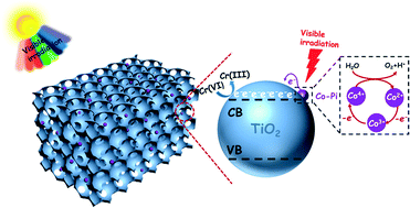 Graphical abstract: Visible-light-induced reduction of hexavalent chromium utilizing cobalt phosphate (Co-Pi) sensitized inverse opal TiO2 as a photocatalyst