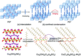 Graphical abstract: Confined condensation synthesis and magnetic properties of layered copper hydroxide frameworks