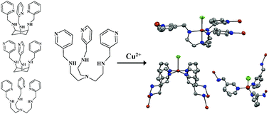 Graphical abstract: Tailoring the local environment around metal ions: a solution chemical and structural study of some multidentate tripodal ligands