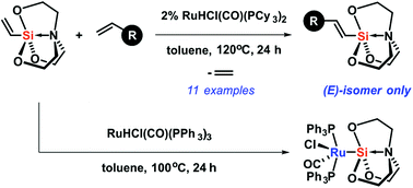 Graphical abstract: Highly selective synthesis of substituted (E)-alkenylsilatranes via catalytic trans-silylation and mechanistic implications