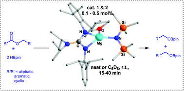 Graphical abstract: Magnesium amide catalyzed selective hydroboration of esters