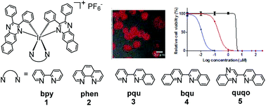 Graphical abstract: Near-infrared-emitting heteroleptic cationic iridium complexes derived from 2,3-diphenylbenzo[g]quinoxaline as in vitro theranostic photodynamic therapy agents