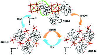 Graphical abstract: A two-dimensional porous framework: solvent-induced structural transformation and selective adsorption towards malachite green