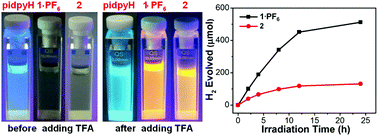 Graphical abstract: Cyclometalated Ir(iii) complexes based on 2-(2,4-difluorophenyl)-pyridine and 2,2′-(2-phenyl-1H-imidazole-4,5-diyl)dipyridine: acid/base-induced structural transformation and luminescence switching, and photocatalytic activity for hydrogen evolution