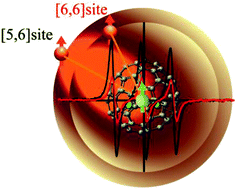 Graphical abstract: A magnetoreception system constructed by a dysprosium metallofullerene and nitroxide radical