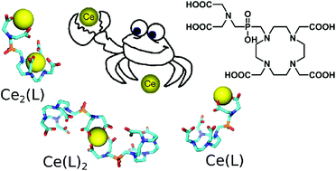 Graphical abstract: DOTA analogues with a phosphinate-iminodiacetate pendant arm: modification of the complex formation rate with a strongly chelating pendant