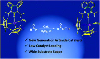 Graphical abstract: Thorium complexes possessing expanded ring N-heterocyclic iminato ligands: synthesis and applications