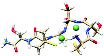 Graphical abstract: The influence of penicillamine/cysteine mutation on the metal complexes of peptides