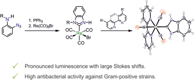 Graphical abstract: Benzannulated Re(i)–NHC complexes: synthesis, photophysical properties and antimicrobial activity