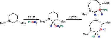 Graphical abstract: Ring expansion of a ring expanded carbene