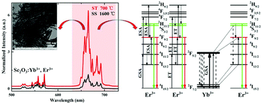 Graphical abstract: Intense red up-conversion luminescence and dynamical processes observed in Sc2O3:Yb3+,Er3+ nanostructures