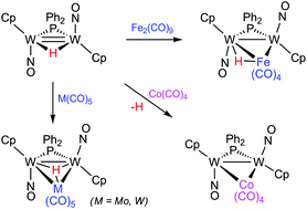 Graphical abstract: Structure and dynamics of heterometallic clusters derived from addition of metal carbonyl fragments to the unsaturated hydride [W2Cp2(μ-H)(μ-PPh2)(NO)2]