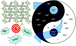 Graphical abstract: Luminescent cadmium(ii) coordination polymers of 1,2,4,5-tetrakis(4-pyridylvinyl)benzene used as efficient multi-responsive sensors for toxic metal ions in water