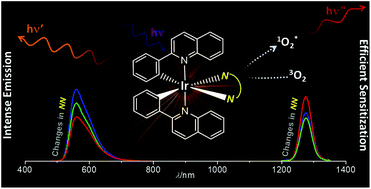 Graphical abstract: Photophysical dynamics of the efficient emission and photosensitization of [Ir(pqi)2(NN)]+ complexes