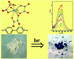 Graphical abstract: Photochromism in oxalatoniobates