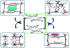 Graphical abstract: Host–guest capability of a three-dimensional heterometallic macrocycle