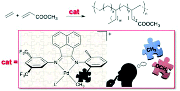 Graphical abstract: The contradictory effect of the methoxy-substituent in palladium-catalyzed ethylene/methyl acrylate cooligomerization