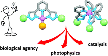 Graphical abstract: Functional metal complexes from CuAAC “click” bidentate and tridentate pyridyl-1,2,3-triazole ligands