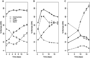 Graphical abstract: Development of algae biorefinery concepts for biofuels and bioproducts; a perspective on process-compatible products and their impact on cost-reduction