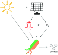 Graphical abstract: Many ways towards ‘solar fuel’: quantitative analysis of the most promising strategies and the main challenges during scale-up