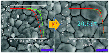 Graphical abstract: A novel quadruple-cation absorber for universal hysteresis elimination for high efficiency and stable perovskite solar cells