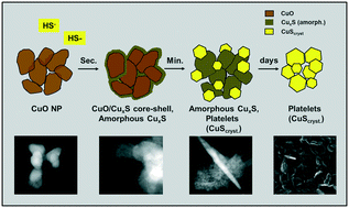Graphical abstract: Sulfidation kinetics of copper oxide nanoparticles
