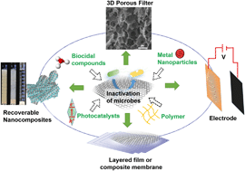 Graphical abstract: Graphene-based antimicrobial nanomaterials: rational design and applications for water disinfection and microbial control
