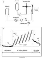 Graphical abstract: Effect of multicomponent fouling during microfiltration of natural surface waters containing nC60 fullerene nanoparticles