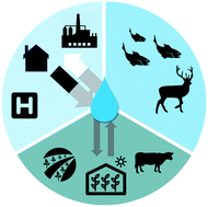 Graphical abstract: Mitigation options for chemicals of emerging concern in surface waters; operationalising solutions-focused risk assessment