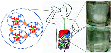 Graphical abstract: Re-assembled casein micelles improve in vitro bioavailability of vitamin D in a Caco-2 cell model