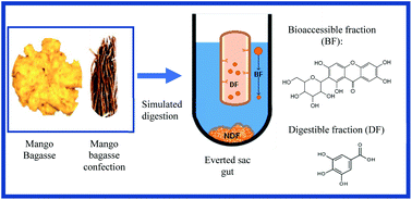 Graphical abstract: Mango-bagasse functional-confectionery: vehicle for enhancing bioaccessibility and permeability of phenolic compounds