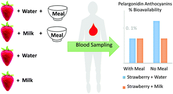 Graphical abstract: The effect of dietary factors on strawberry anthocyanins oral bioavailability