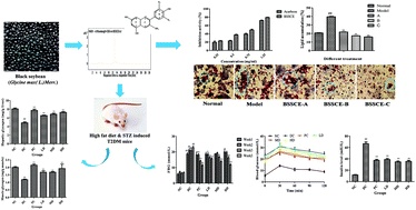 Graphical abstract: Hypoglycemic and hypolipidemic effects of anthocyanins extract from black soybean seed coat in high fat diet and streptozotocin-induced diabetic mice