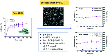 Graphical abstract: Rational design of food-grade polyelectrolyte complex coacervate for encapsulation and enhanced oral delivery of oenothein B