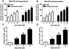 Graphical abstract: Quercetin induces the selective uptake of HDL-cholesterol via promoting SR-BI expression and the activation of the PPARγ/LXRα pathway
