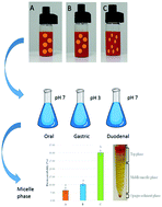 Graphical abstract: Physicochemical stability, antioxidant properties and bioaccessibility of β-carotene in orange oil-in-water beverage emulsions: influence of carrier oil types