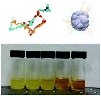 Graphical abstract: The development of phytosterol-lecithin mixed micelles and organogels