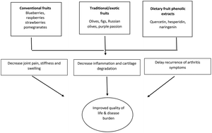 Graphical abstract: Dietary fruits and arthritis