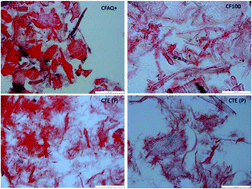 Graphical abstract: A comparison of the sensory and rheological properties of different cellulosic fibres for food