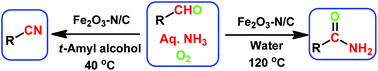 Graphical abstract: Stable and reusable nanoscale Fe2O3-catalyzed aerobic oxidation process for the selective synthesis of nitriles and primary amides
