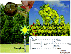 Graphical abstract: A new route to α,ω-diamines from hydrogenation of dicarboxylic acids and their derivatives in the presence of amines